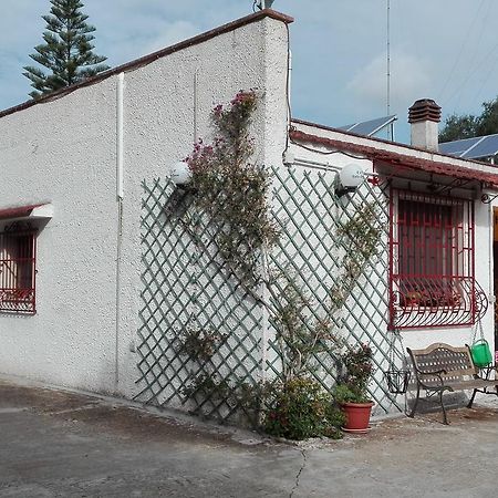 B&B Villa Lucia 미사니아 외부 사진