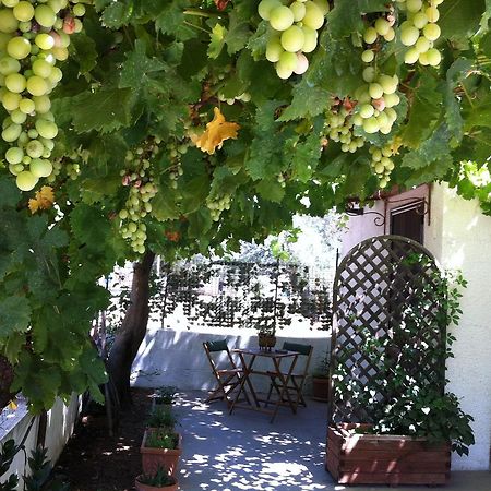 B&B Villa Lucia 미사니아 외부 사진