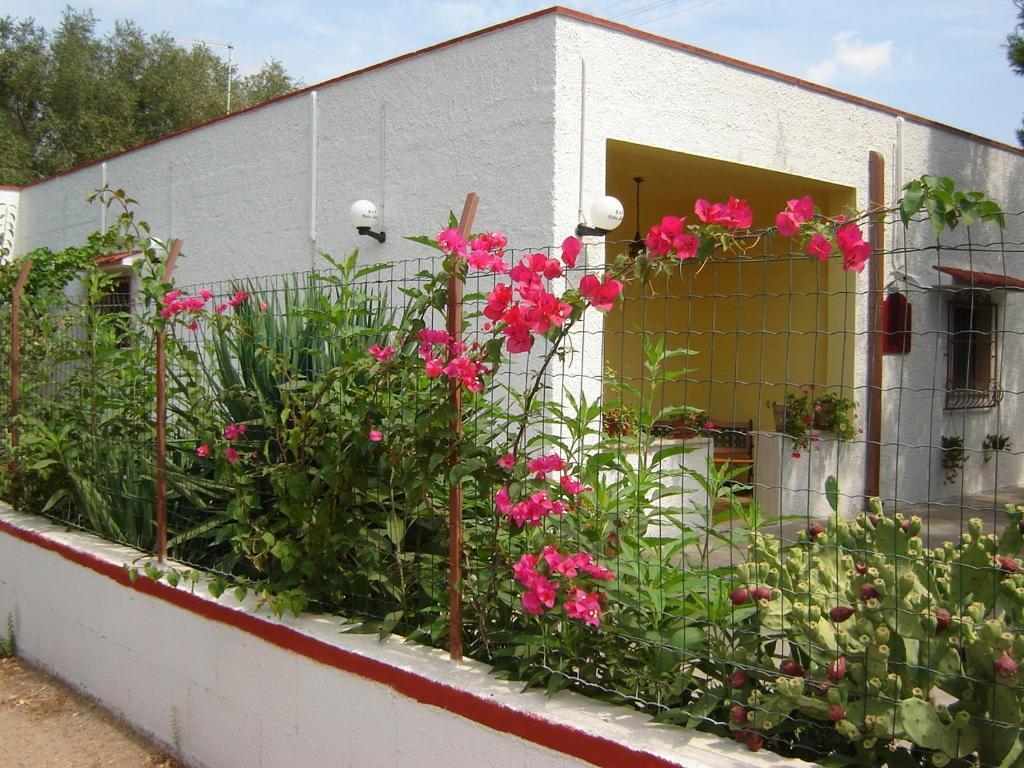 B&B Villa Lucia 미사니아 외부 사진