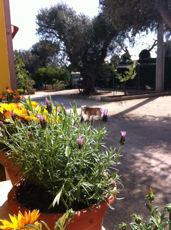 B&B Villa Lucia 미사니아 외부 사진