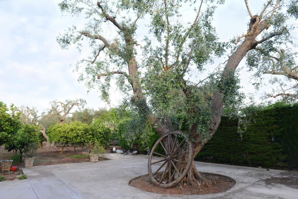 B&B Villa Lucia 미사니아 외부 사진