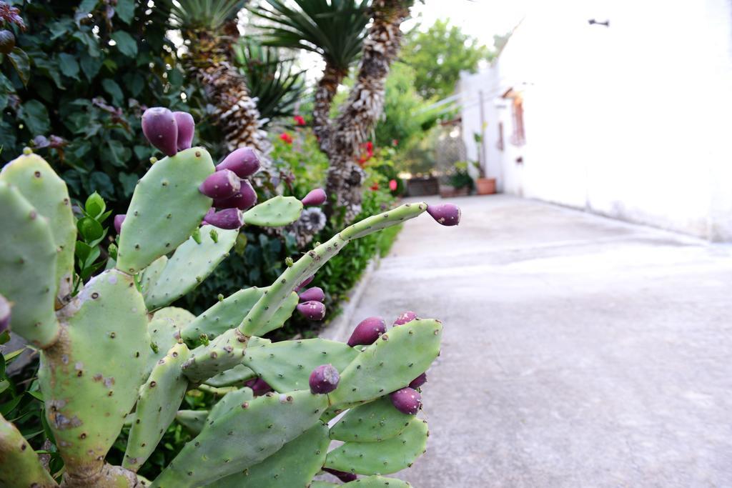 B&B Villa Lucia 미사니아 외부 사진