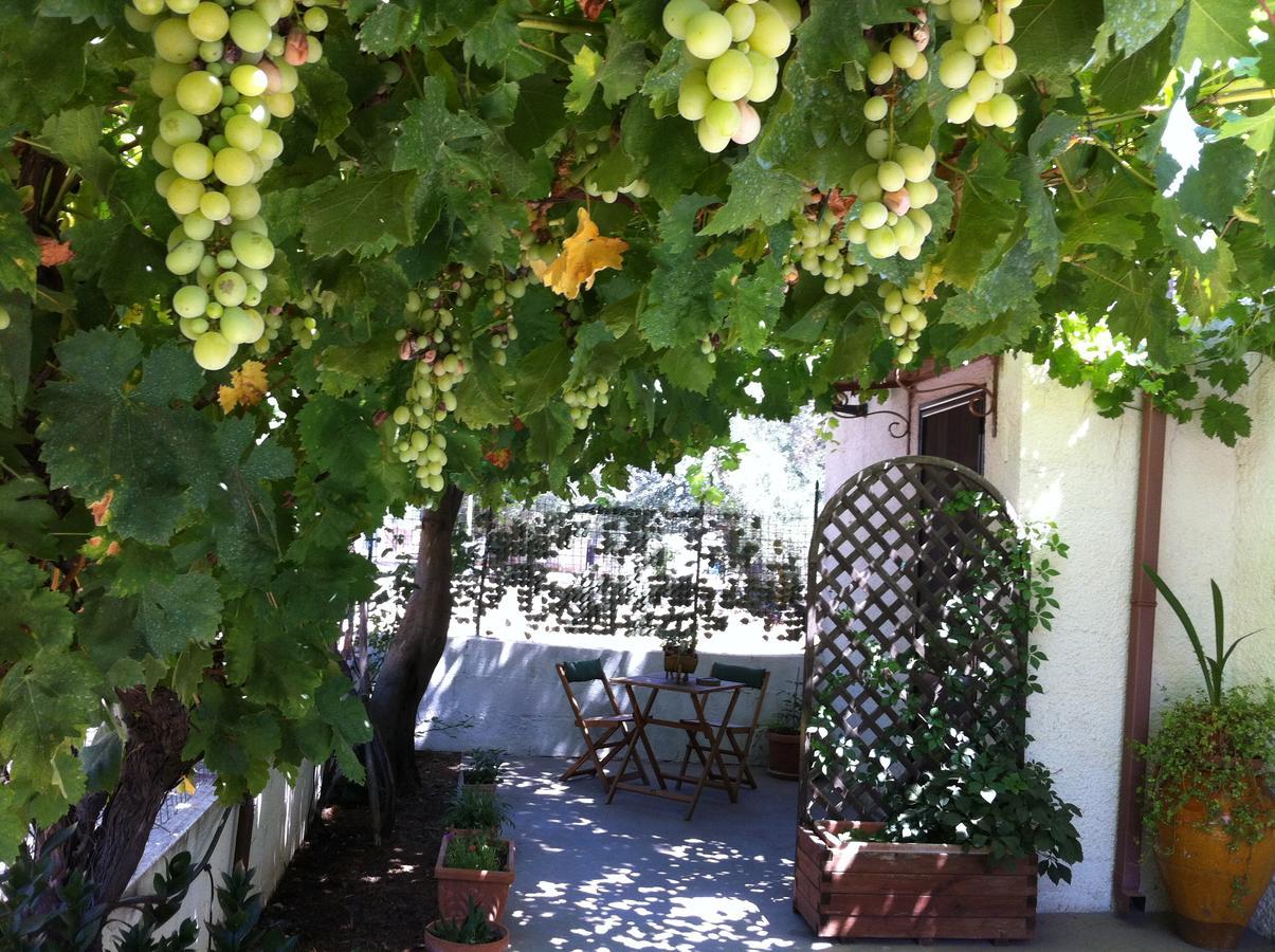 B&B Villa Lucia 미사니아 외부 사진