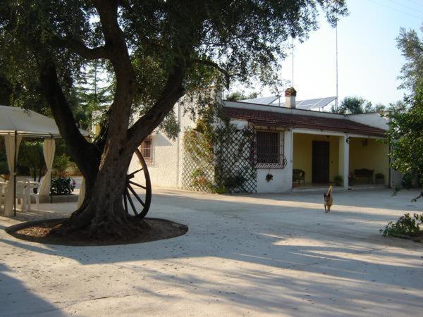 B&B Villa Lucia 미사니아 외부 사진
